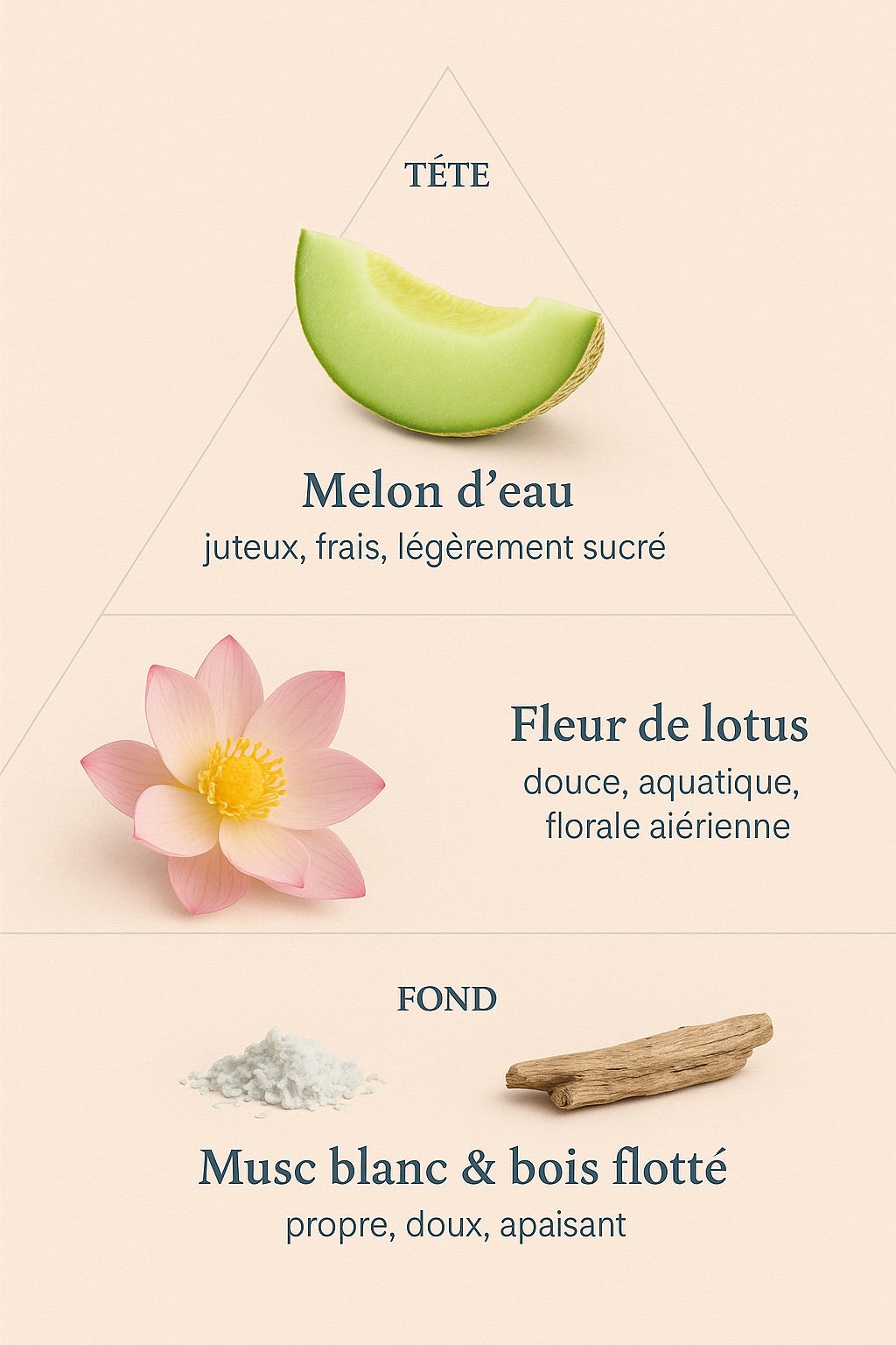 Éveil melon et lotus