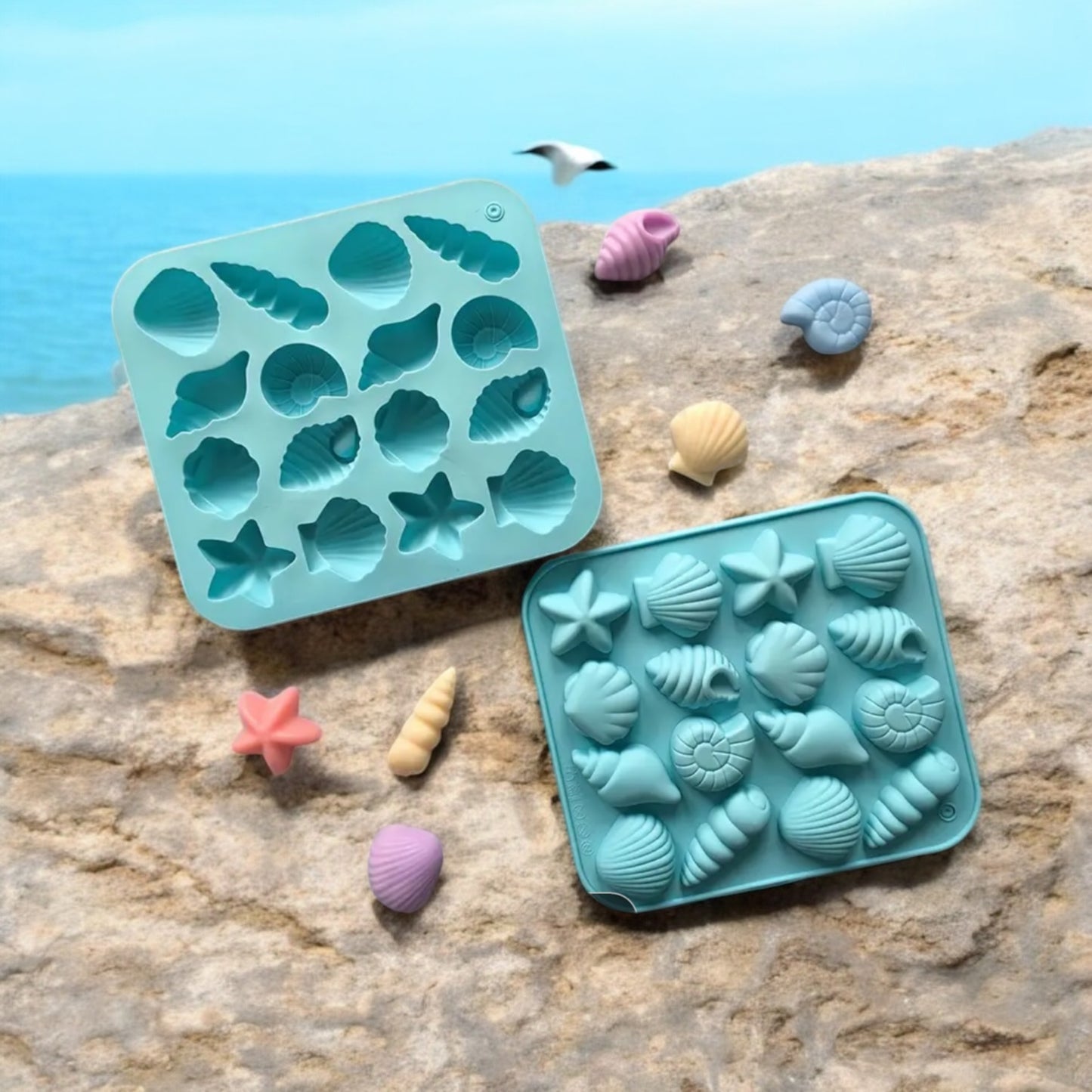 Moule silicone coquillage 12 cavités