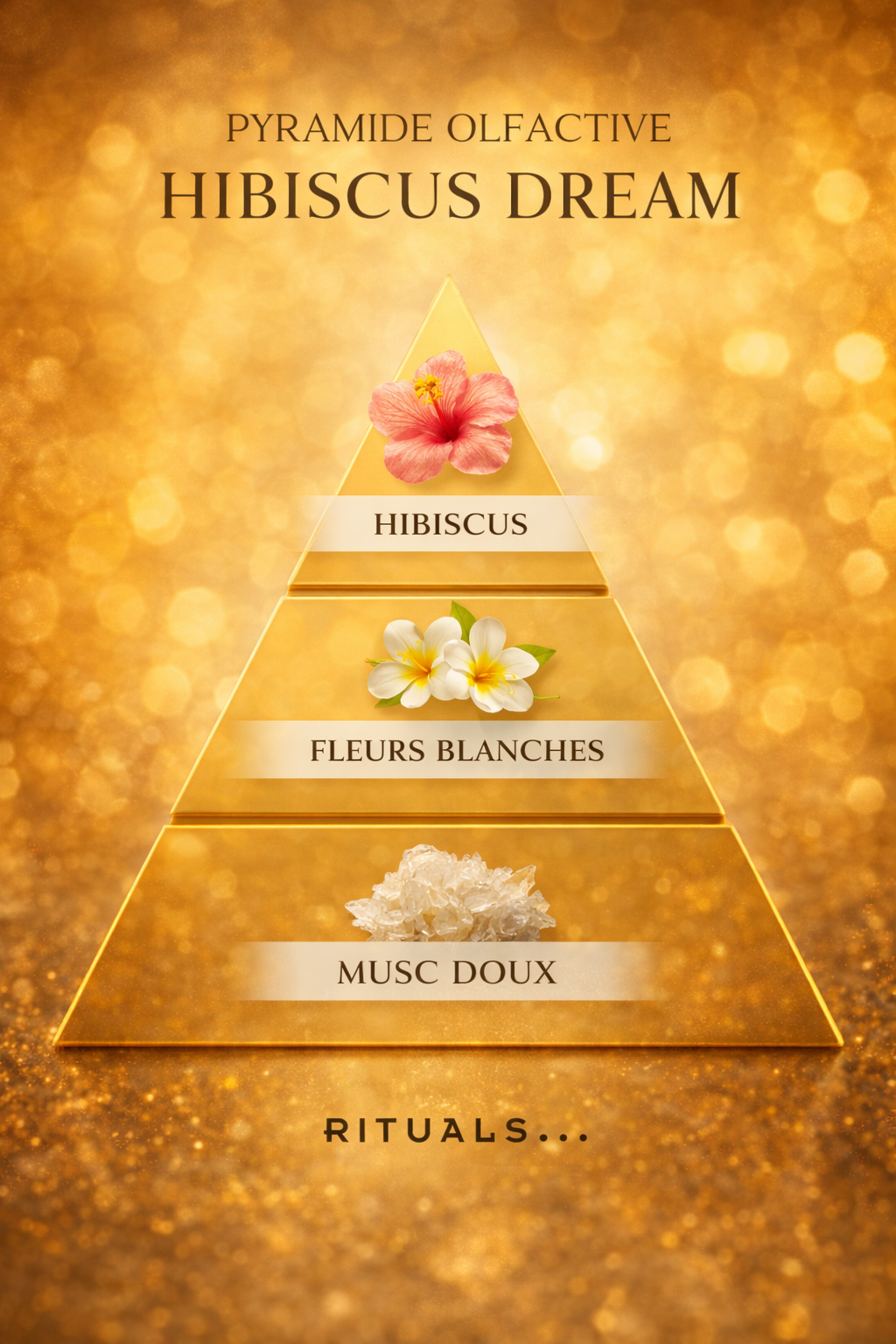 Rituals of Hibiscus dream