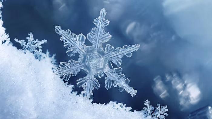 Flocon de Noël