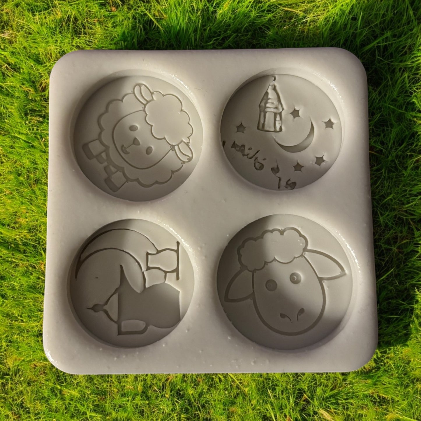 Moule silicone spécial Aid