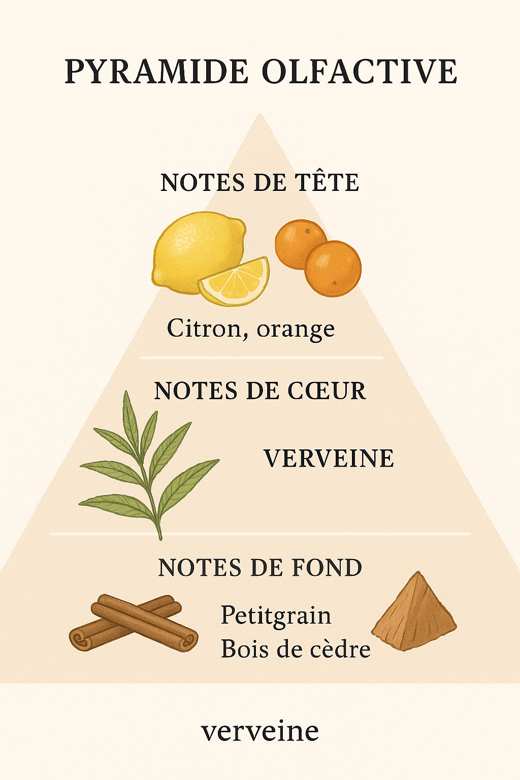 Verveine
