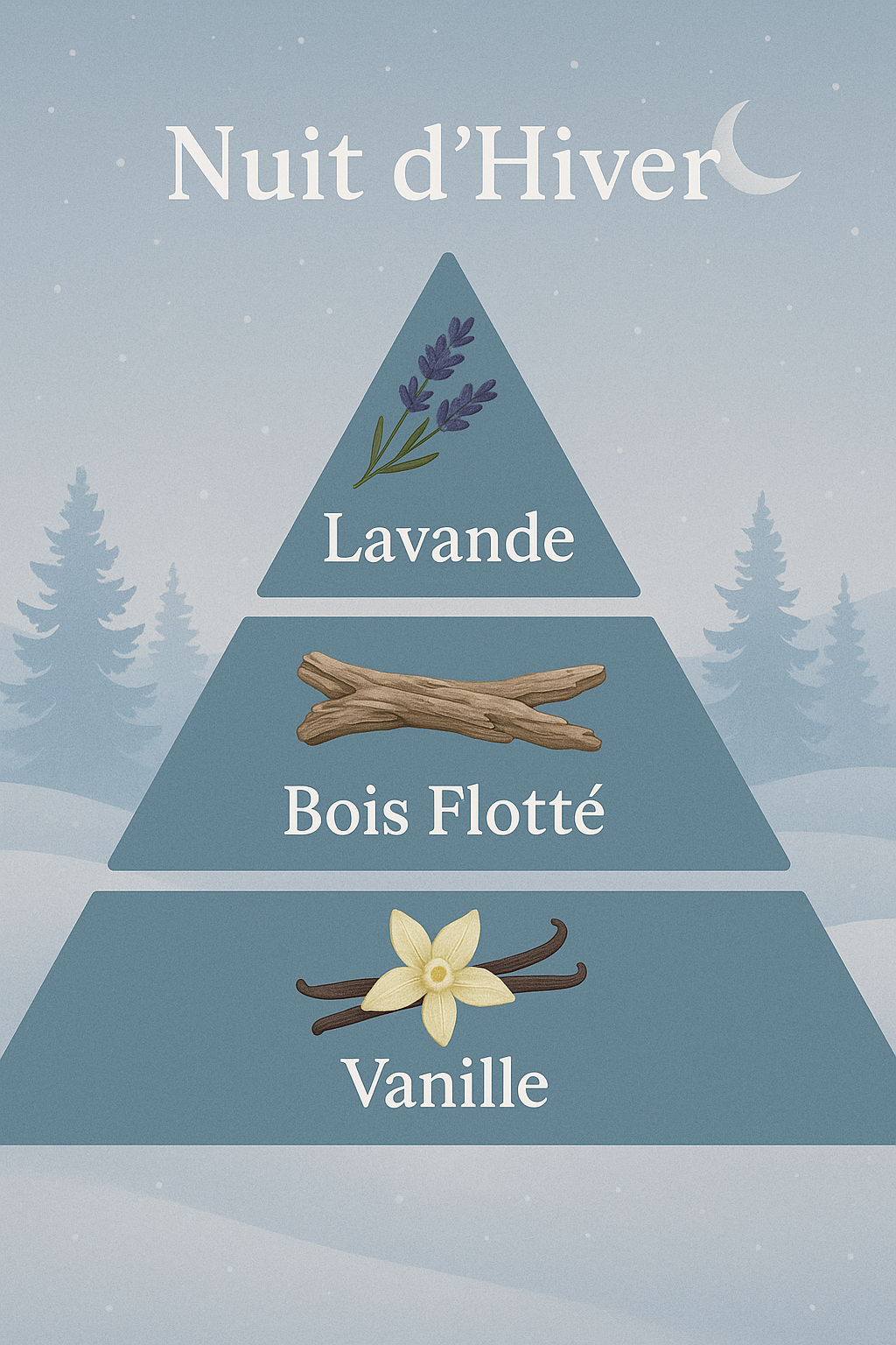 agréable nuit d'hiver