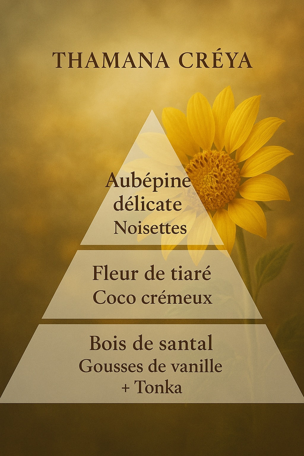 Fleur solaire