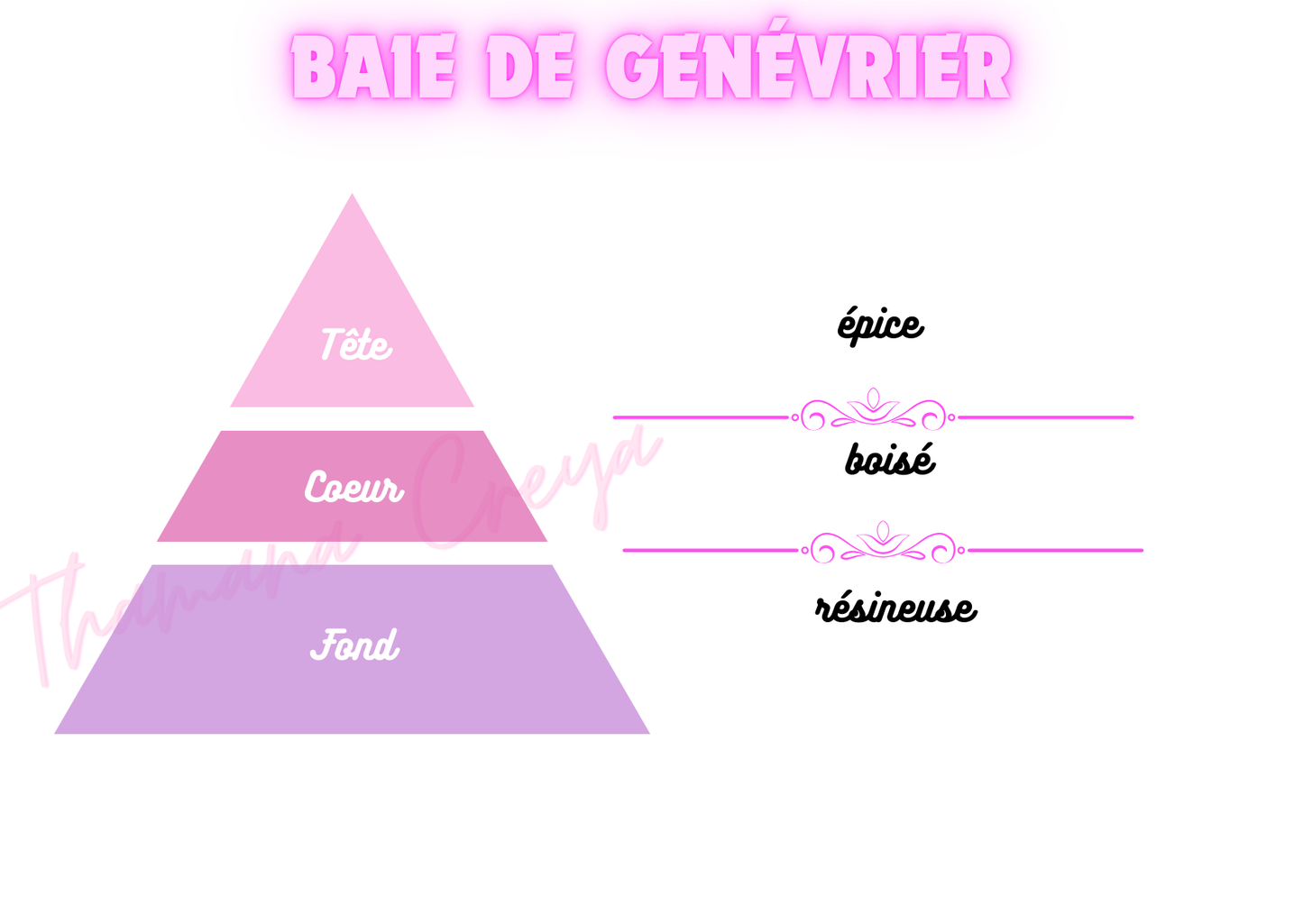 Baie de genévrier