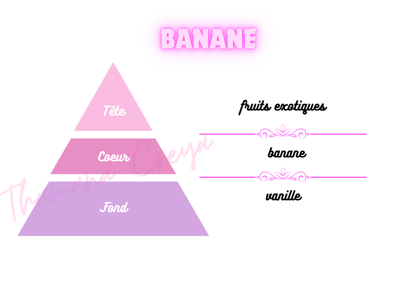 Banane / N°Lot: TC26082