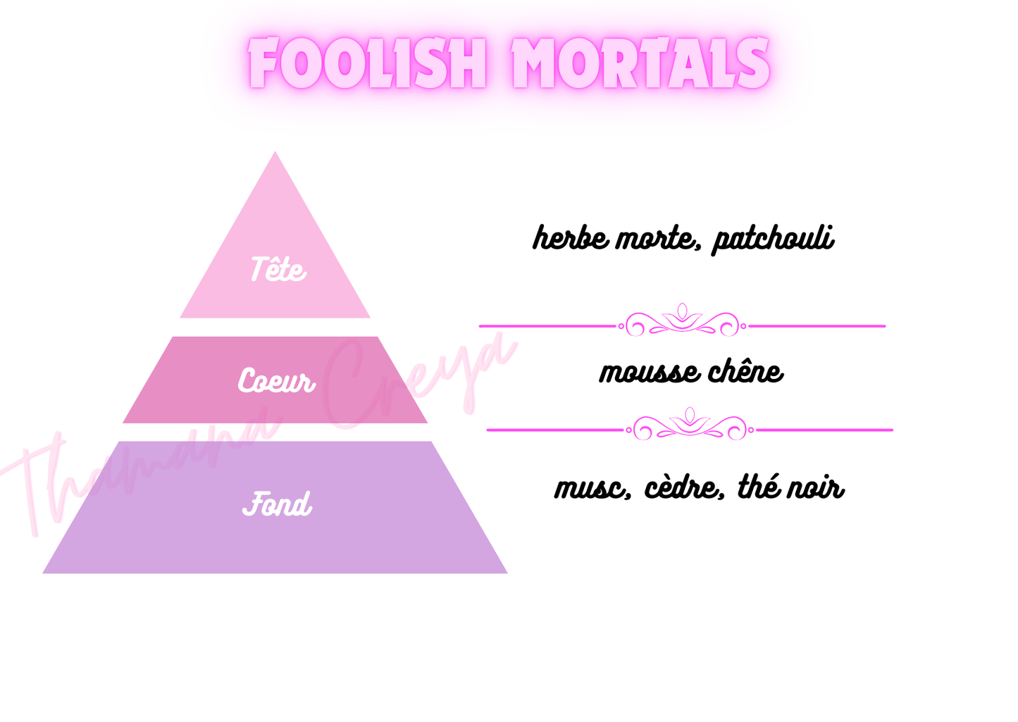 Foolish mortals - DisneyWorld