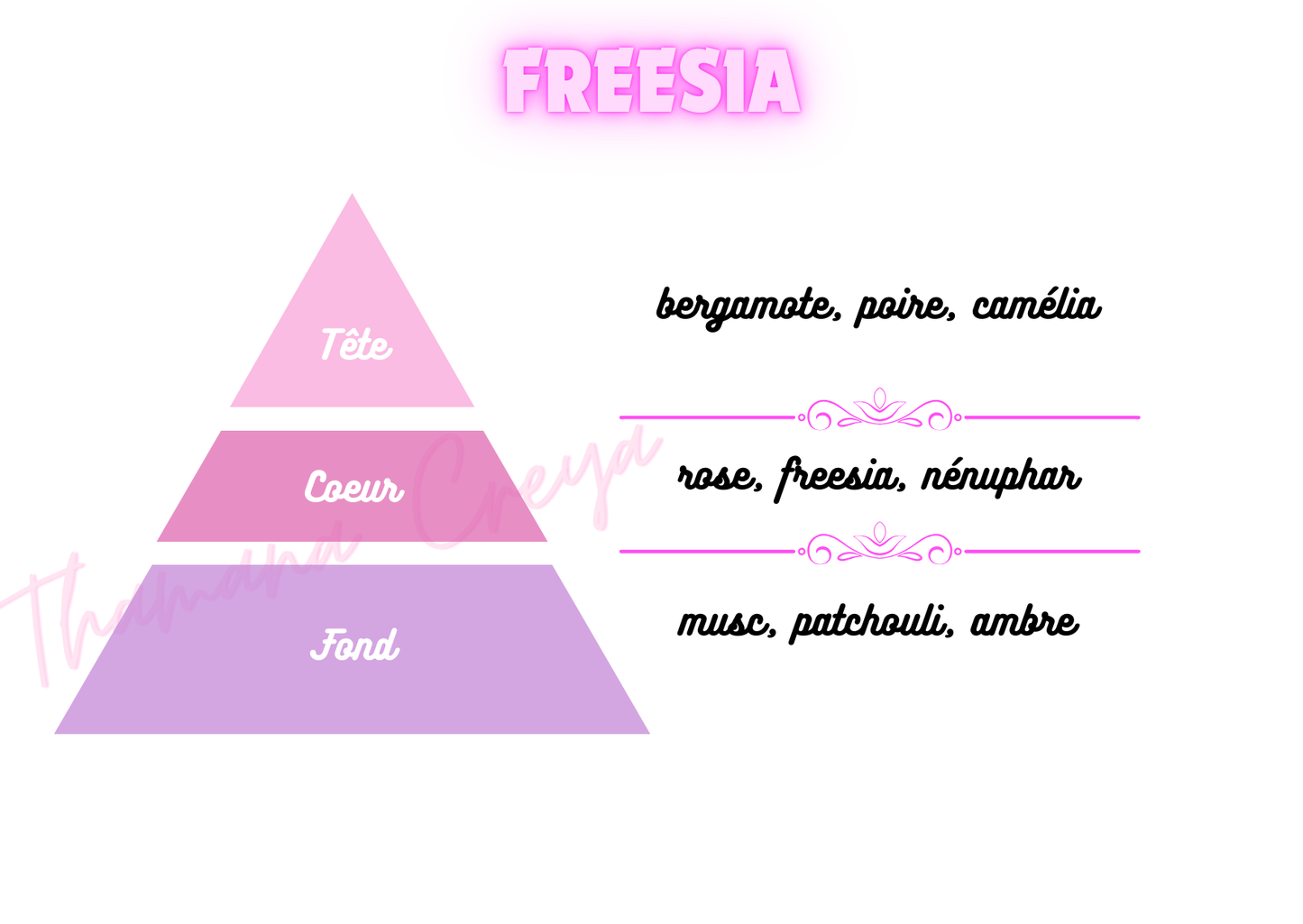 Freesia / N°Lot: TC-26173