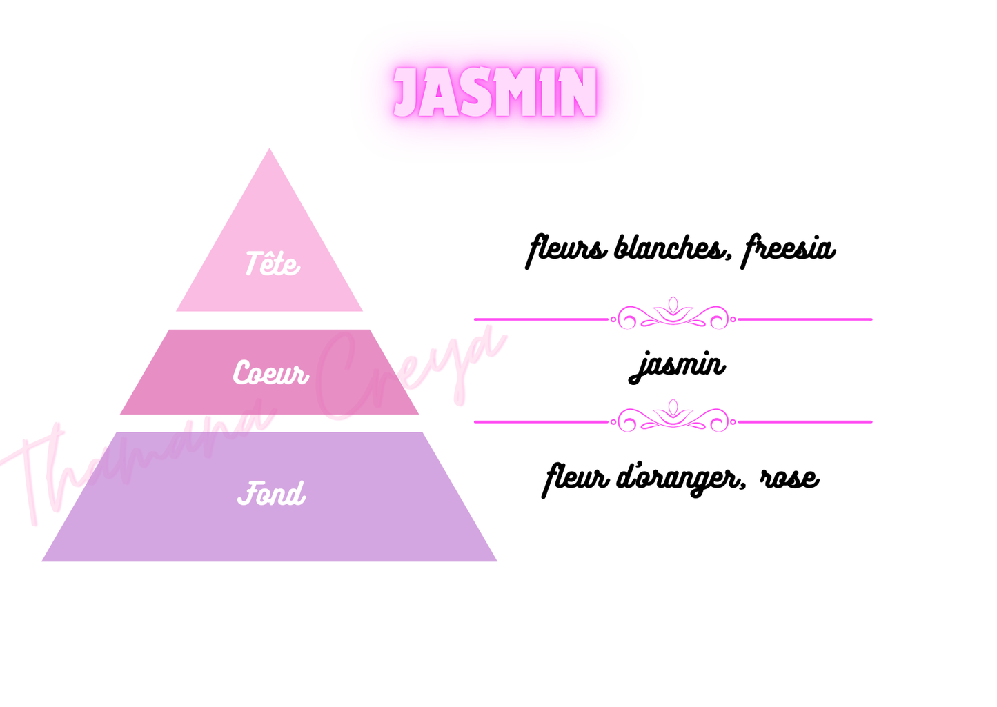 Jasmin / N°Lot: TC26244