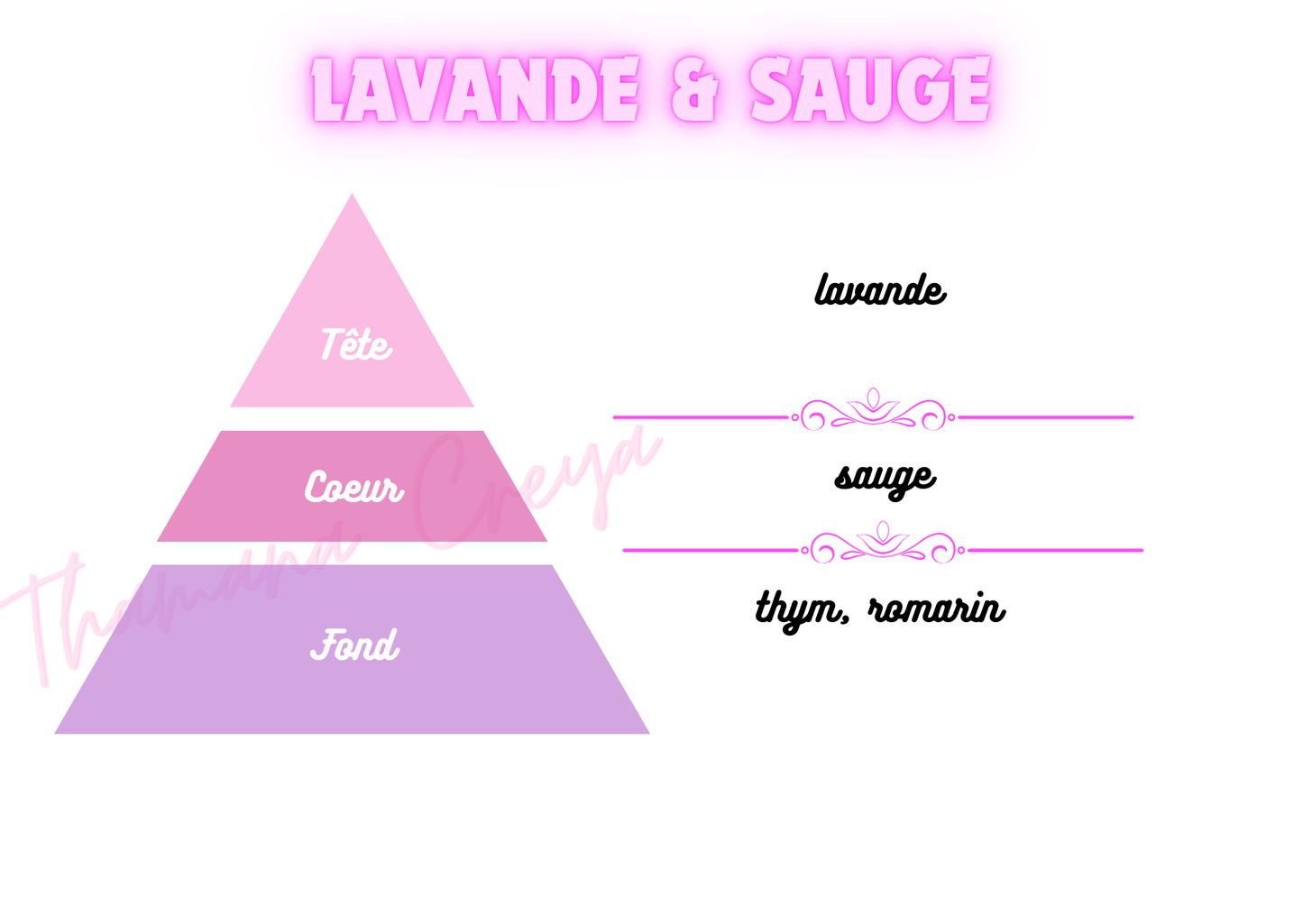 Lavande et sauge
