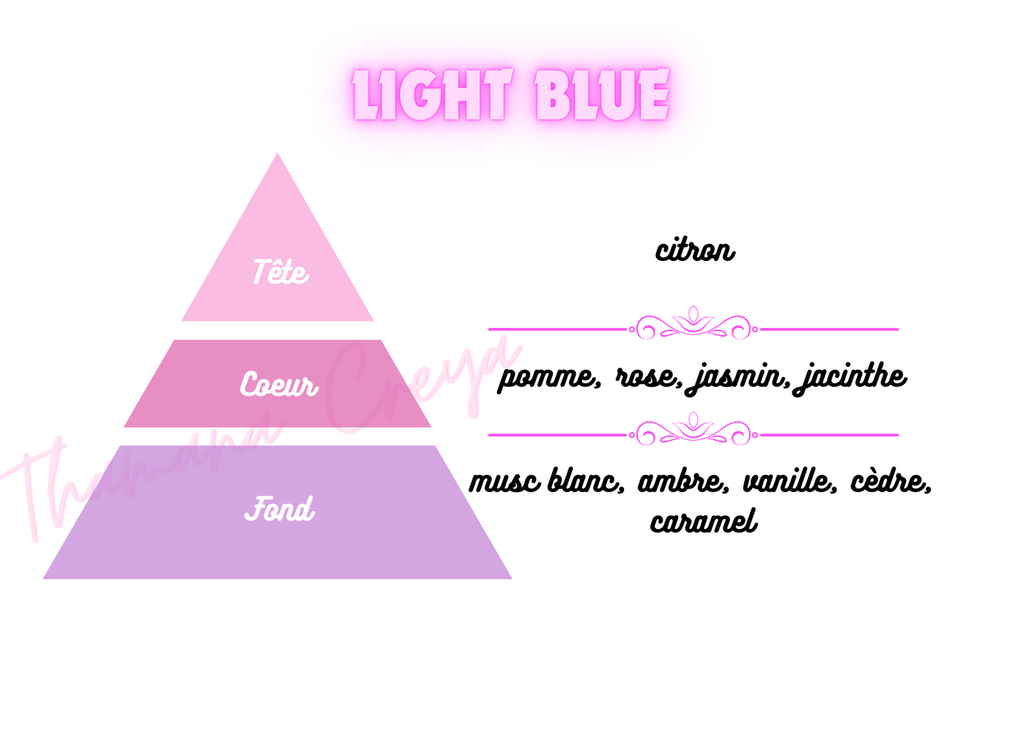 Light blue _ Dolce & Gabanna Version Femme