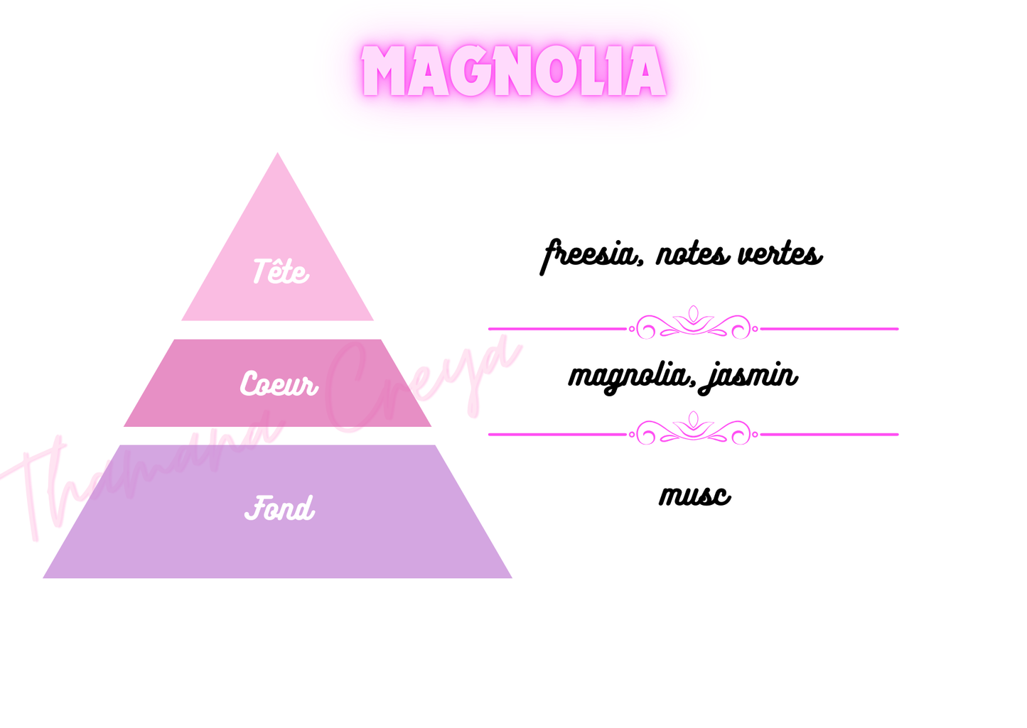 Magnolia / N°Lot: TC-26199