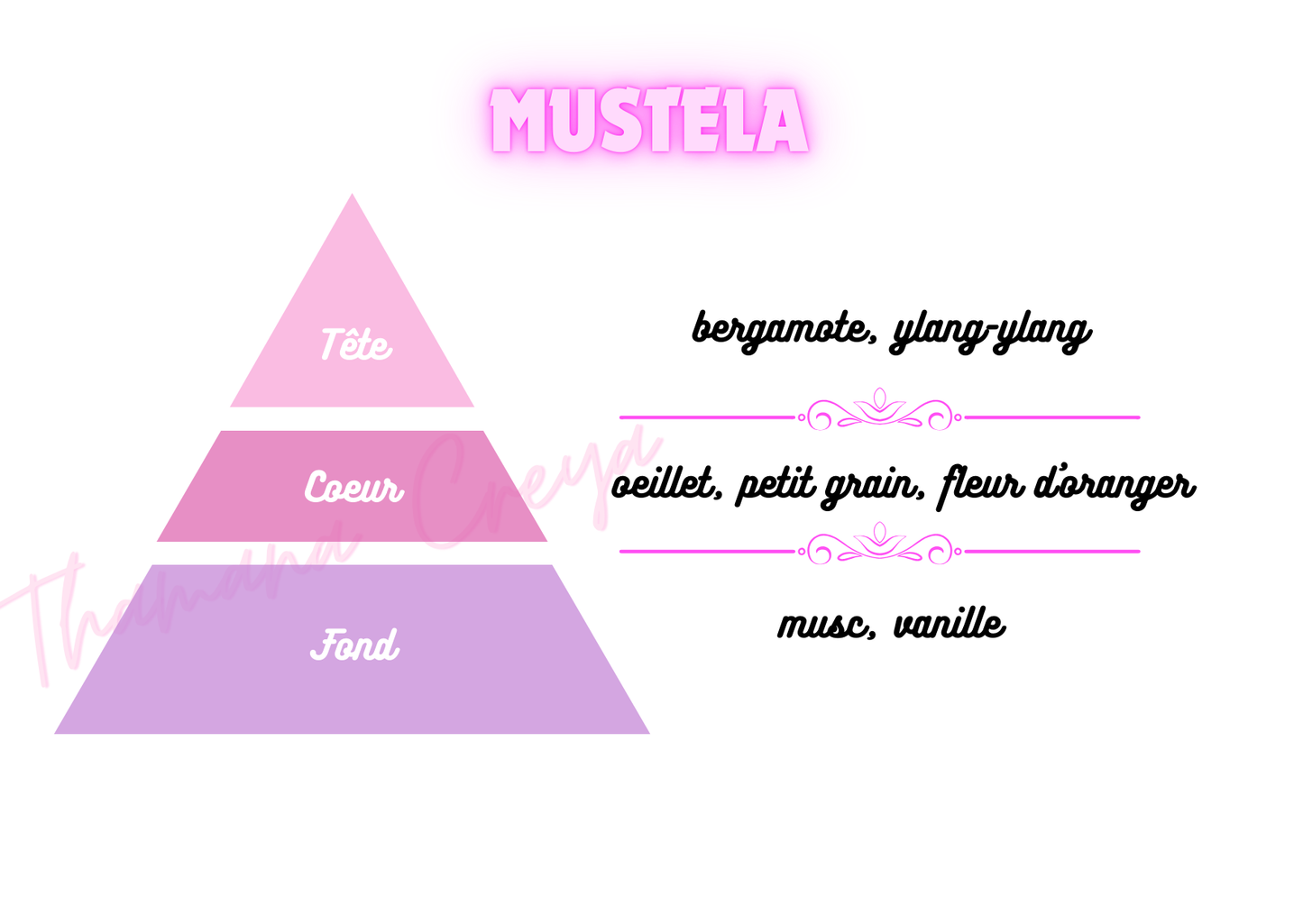 Mustela