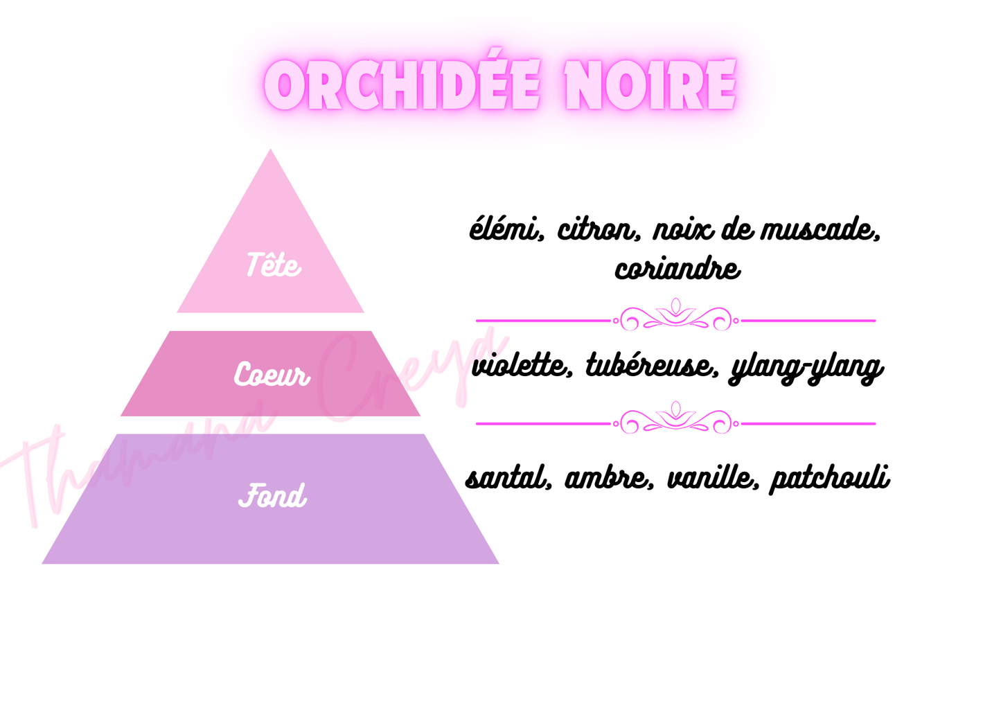Orchidée noire