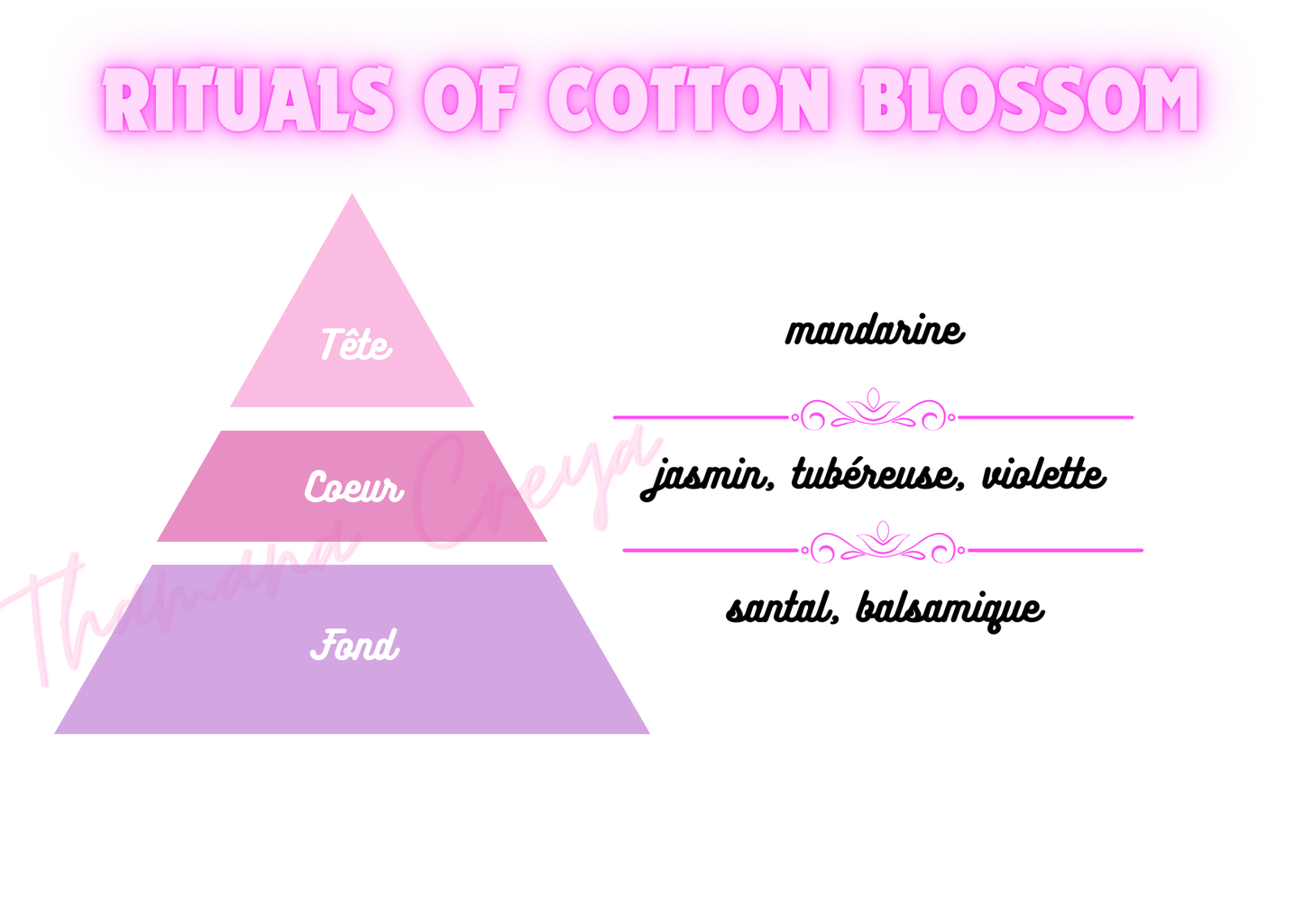 Rituals of coton blossom