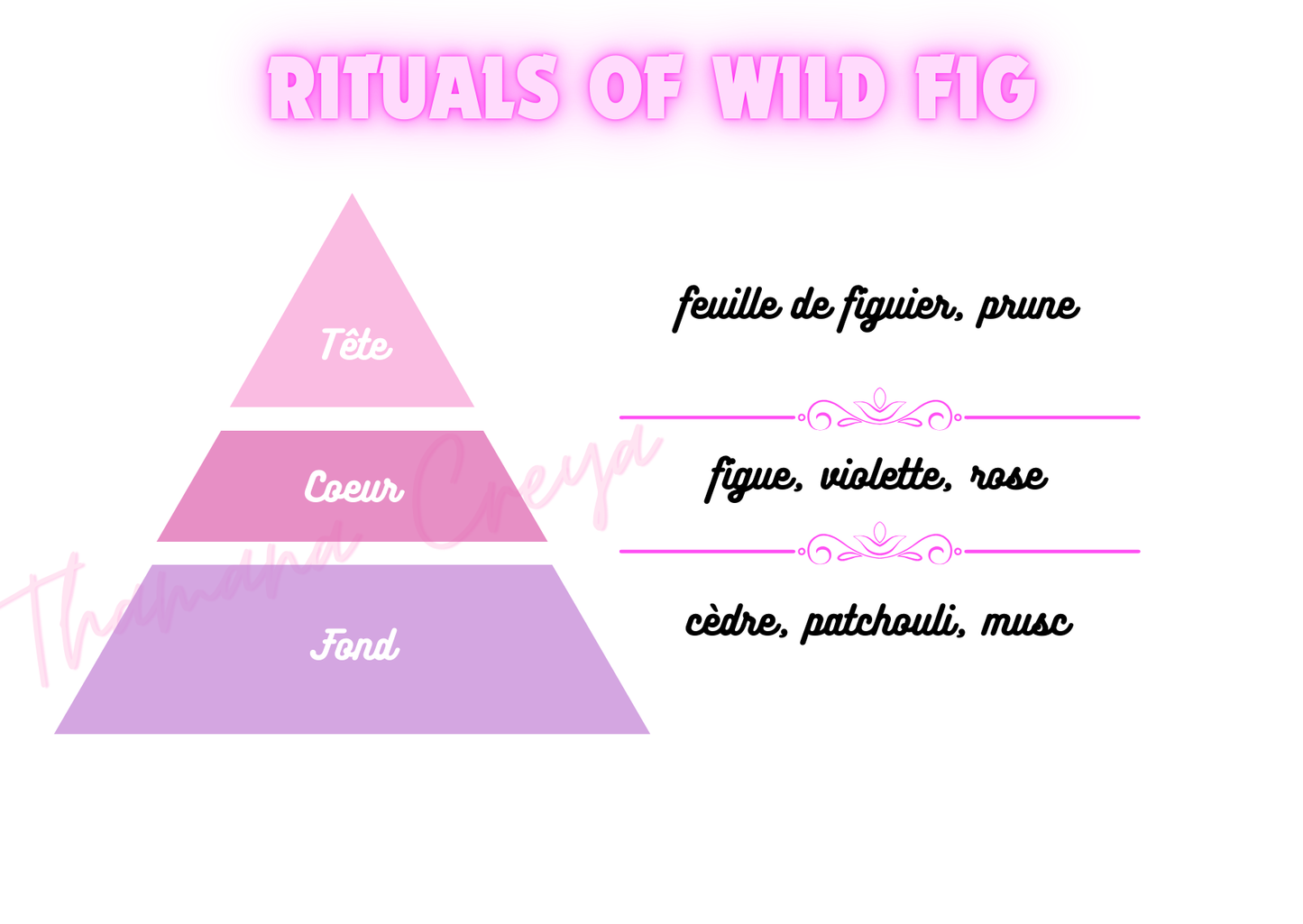 Rituals of Wild fig