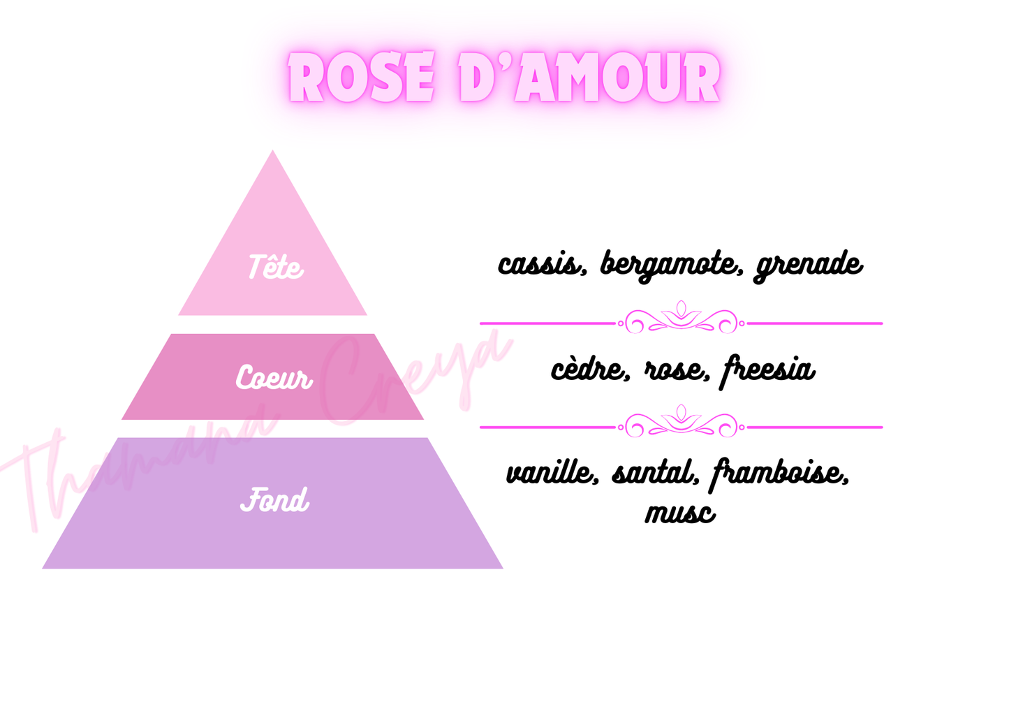 Rose d'amour