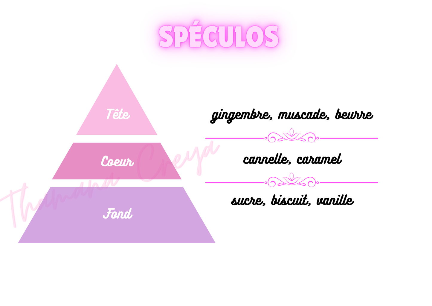 Spéculoos /N°Lot: TC-26311