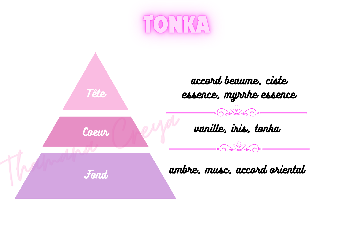 Fève de Tonka / N°Lot: 26017