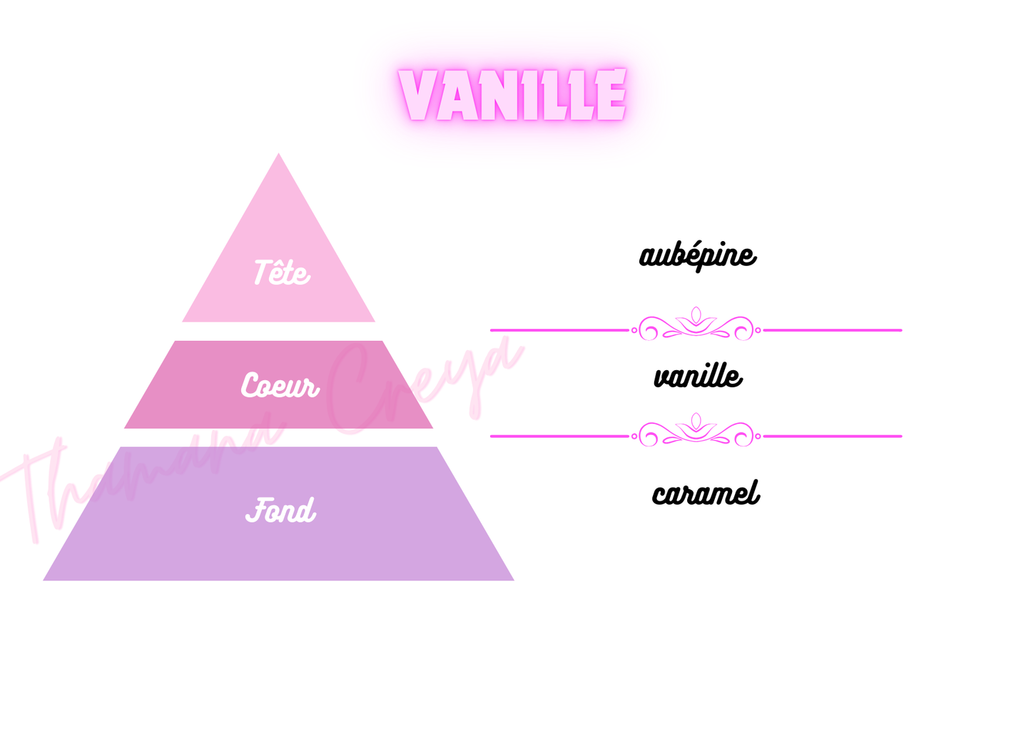 Vanille / N°Lot : TC26208
