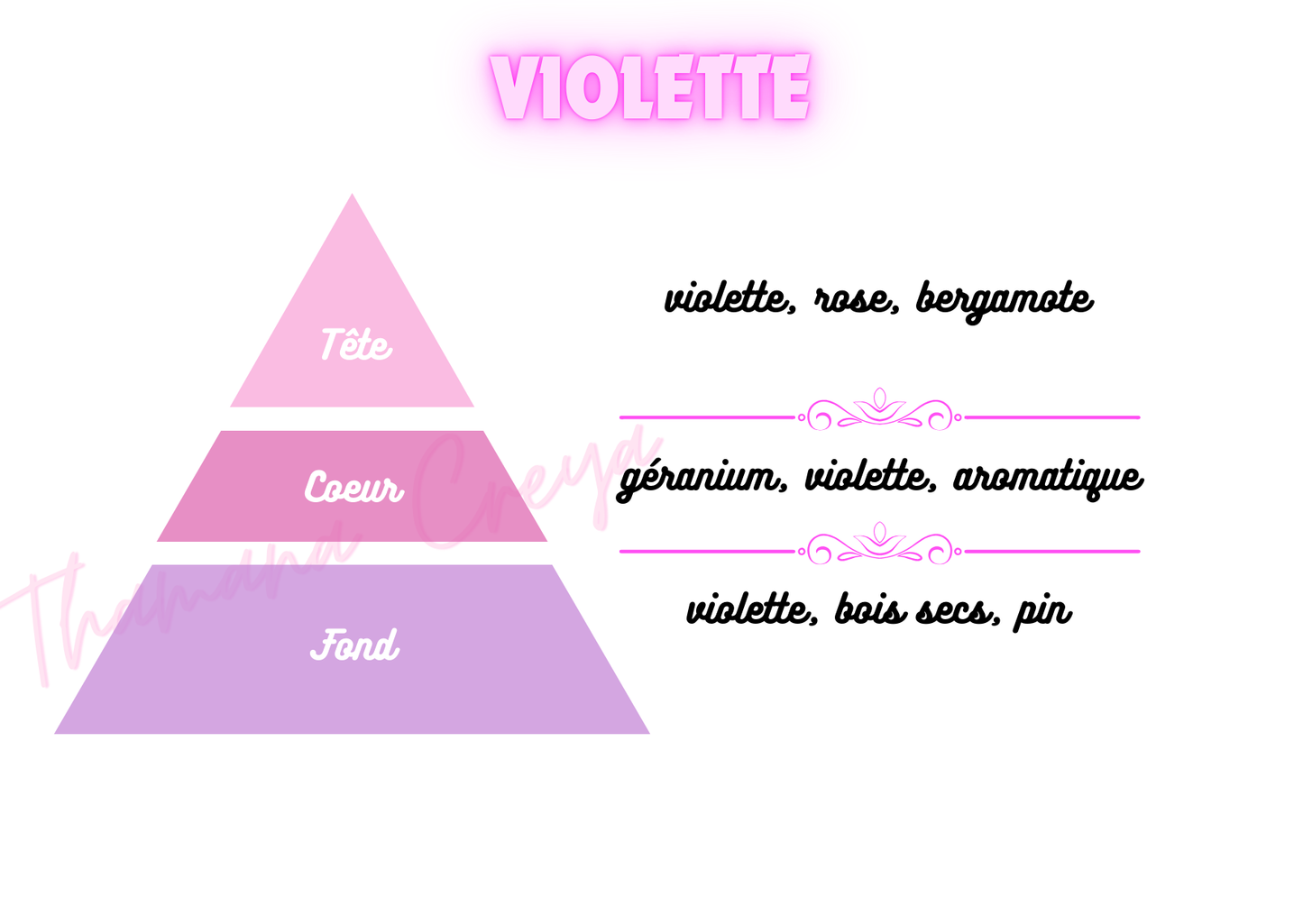 Violette / N°Lot: TC26209