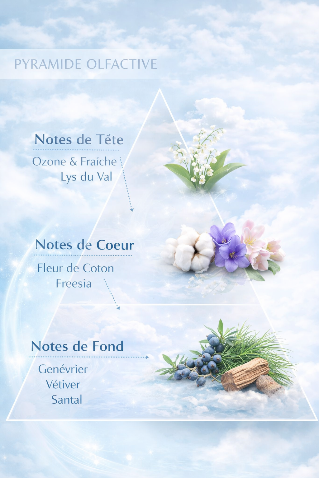 Douceur de lessive / N°Lot :TC26120