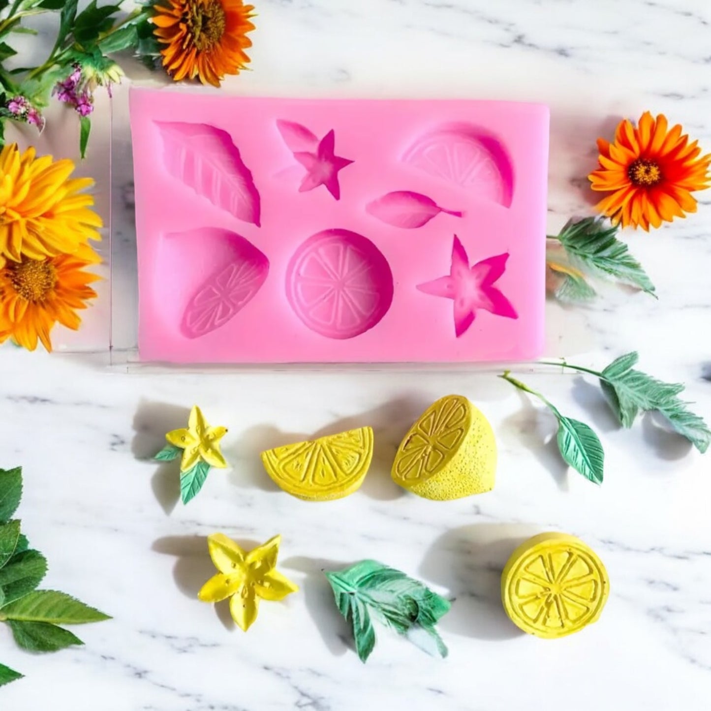 Moule silicone agrumes