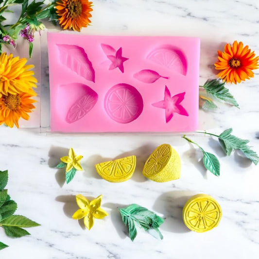 Moule silicone agrumes