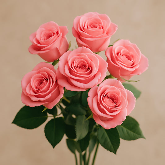 Bouquet de rose