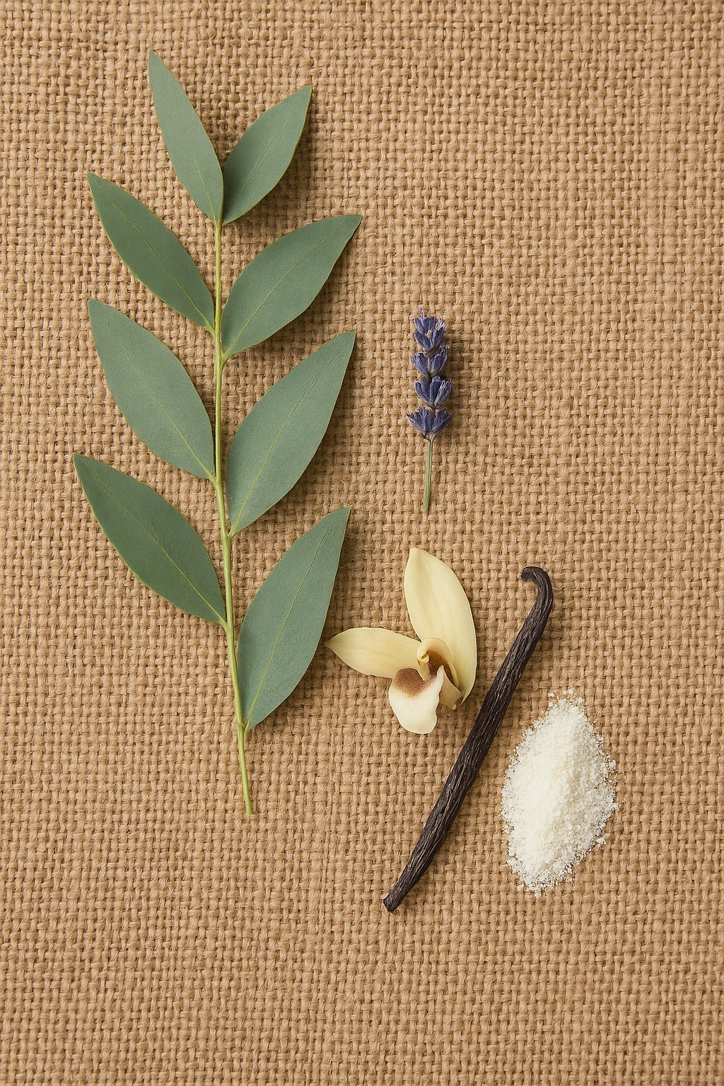 Brume d'eucalyptus et vanille