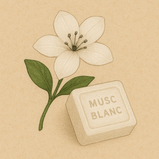 Musc Blanc