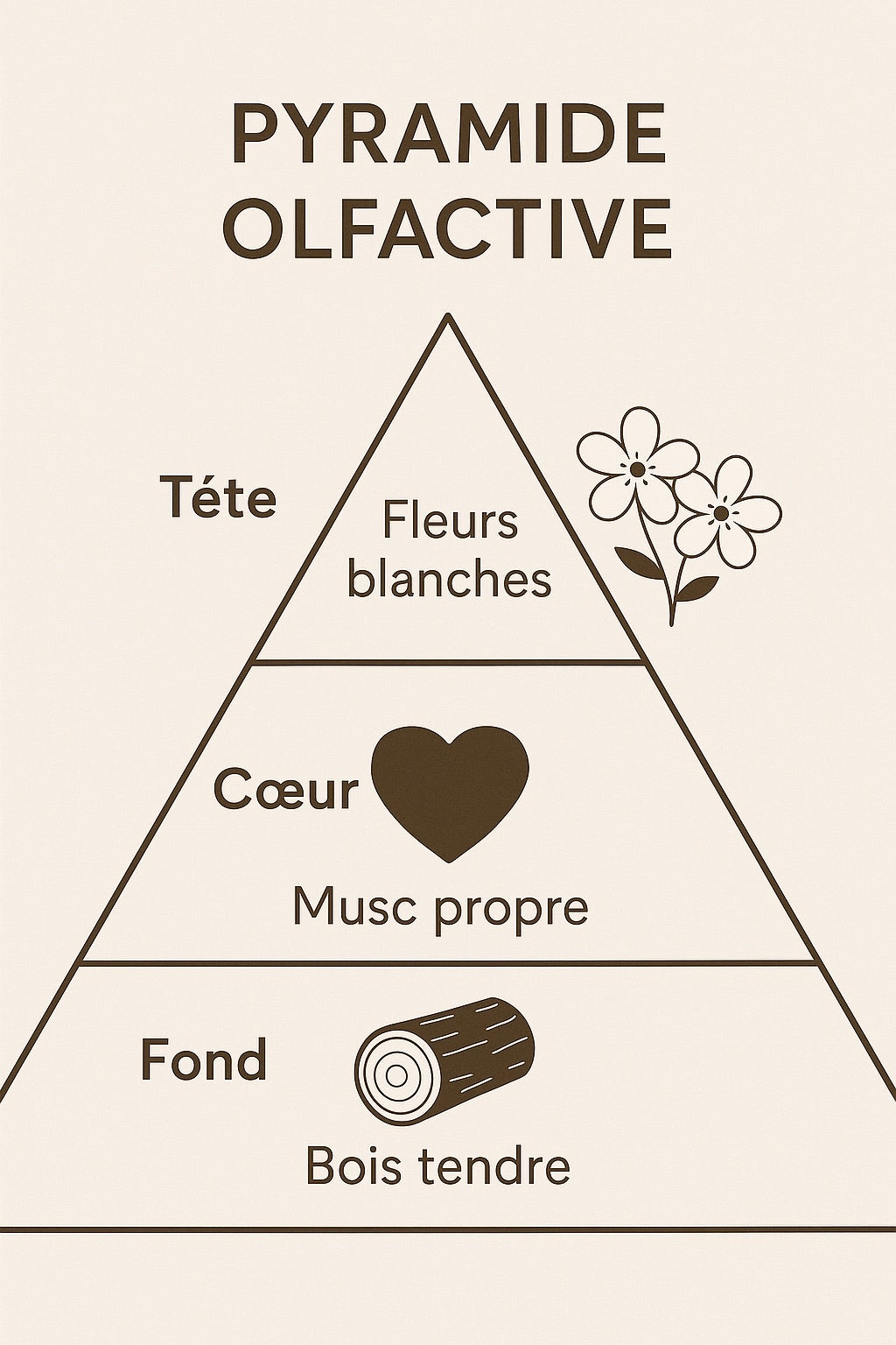 Assouplissant caresse de coton