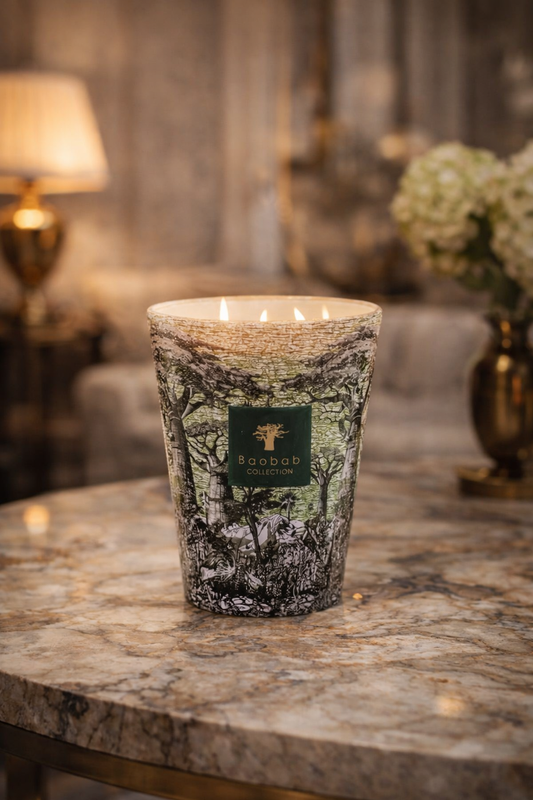 Baobab Sacred Trees Touba