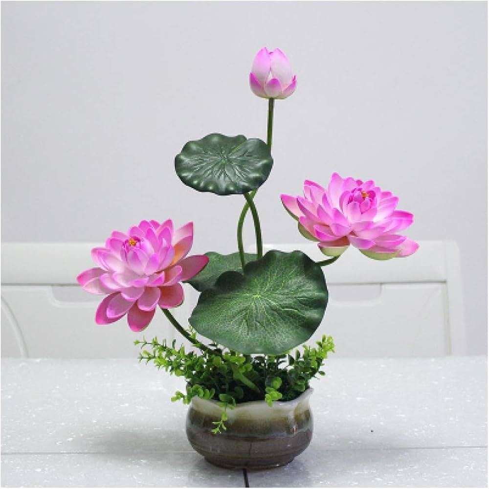 Orchidée & fleur de lotus