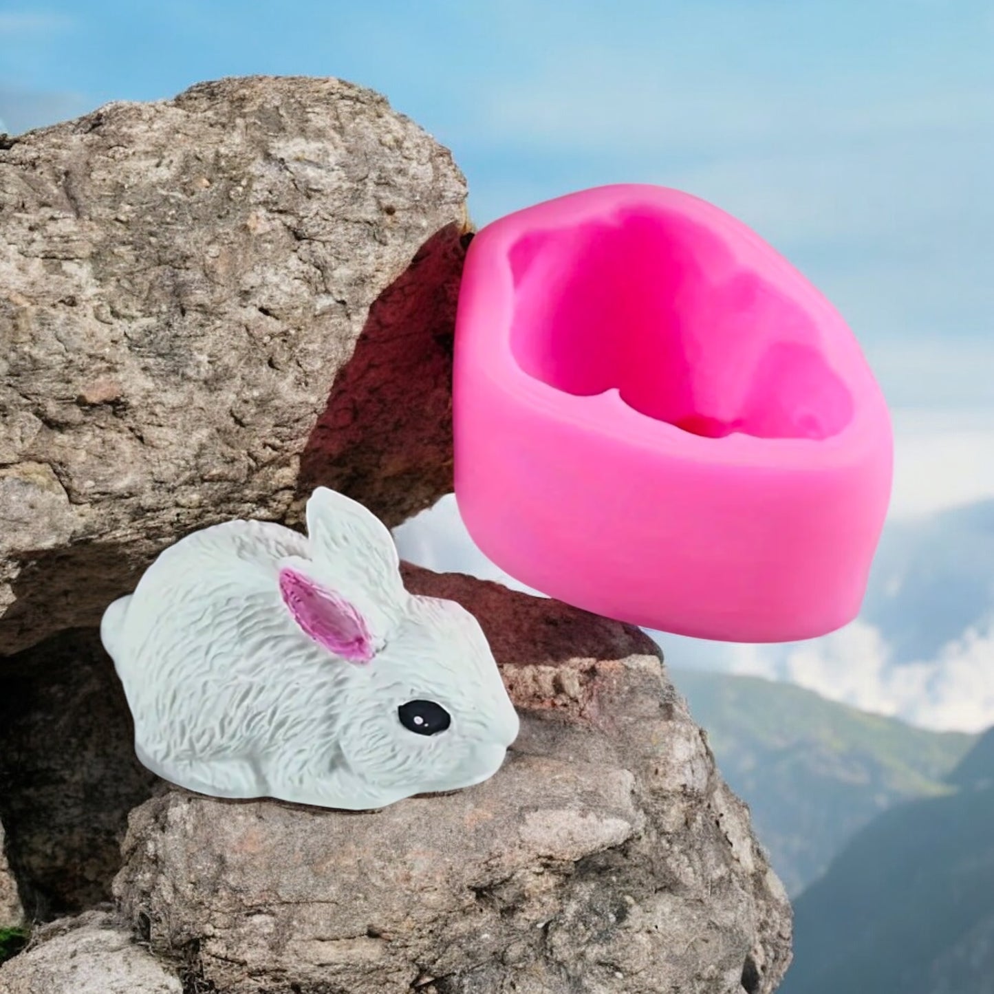 Moule silicone Lapin