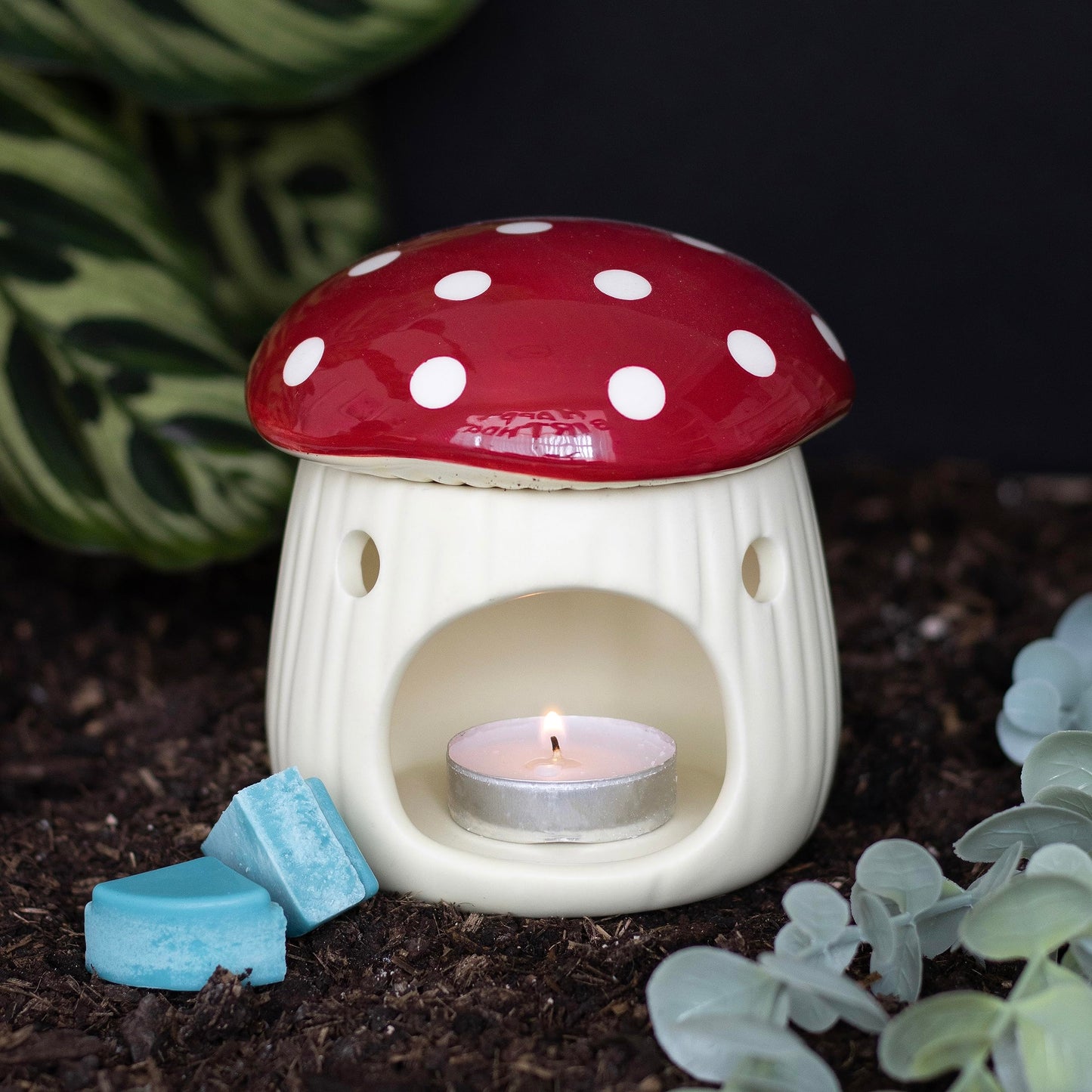 Brûleur Champignon