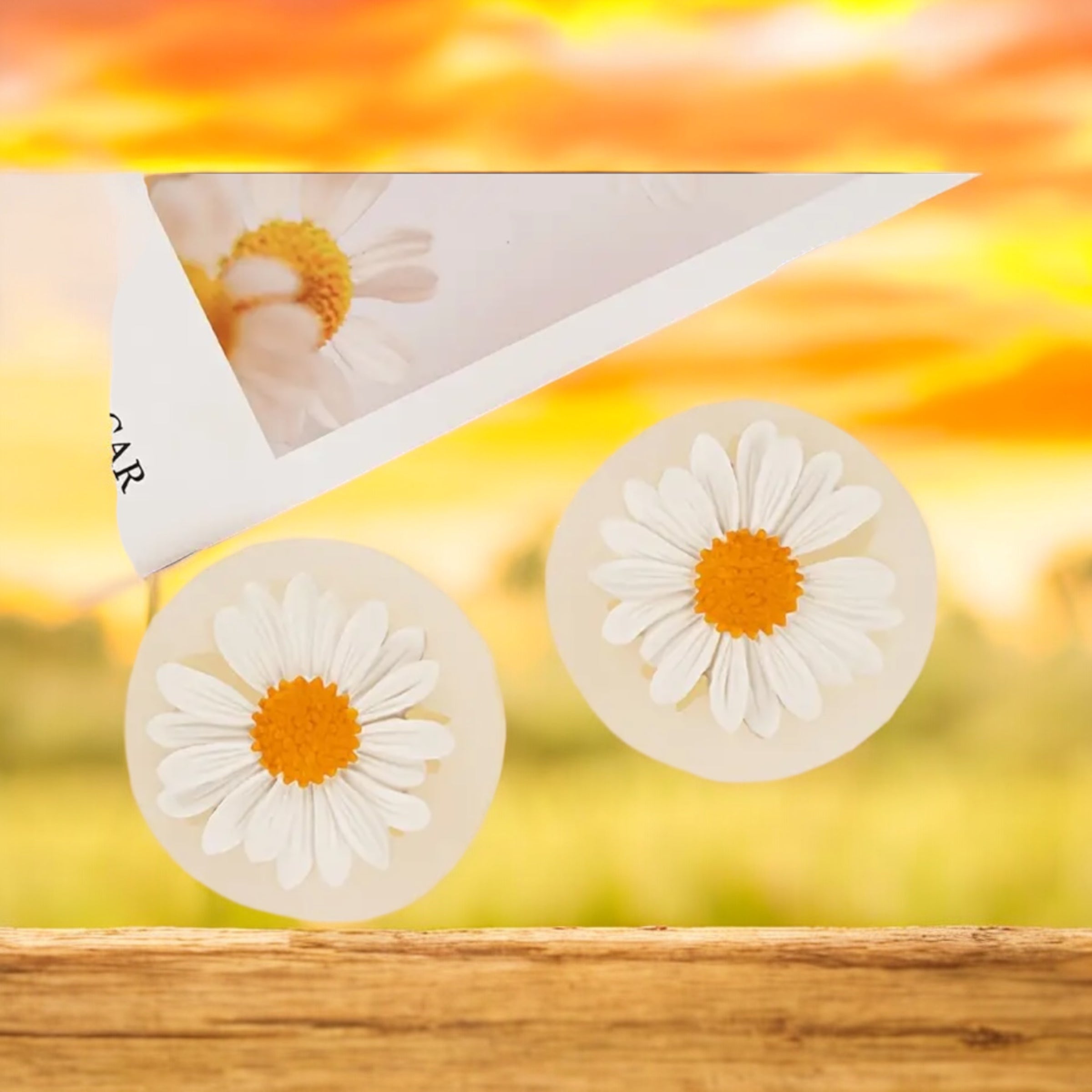 Moule silicone marguerites