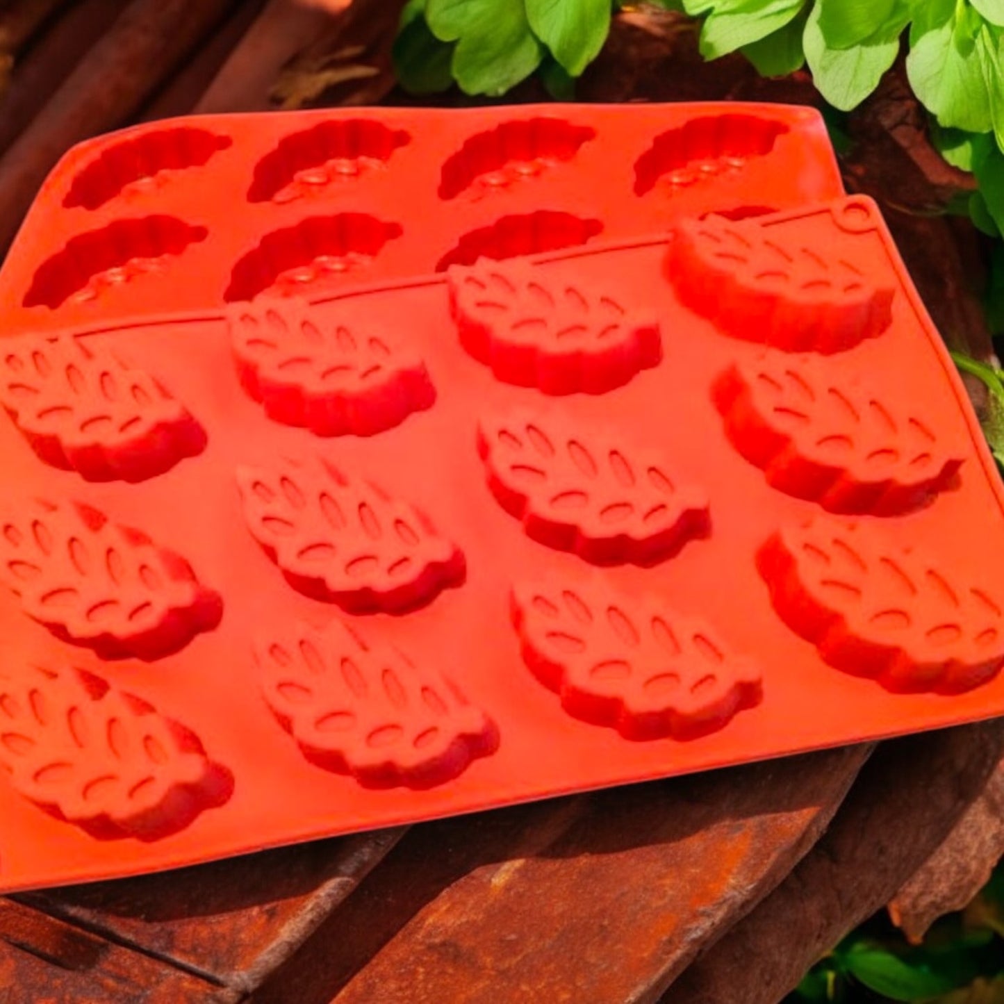 Moule silicone feuilles