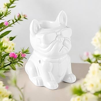 Brûleur boubou blanc