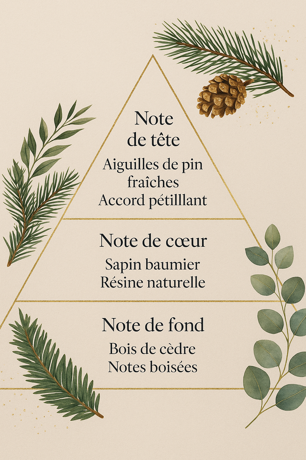 Merveille d’Hiver
