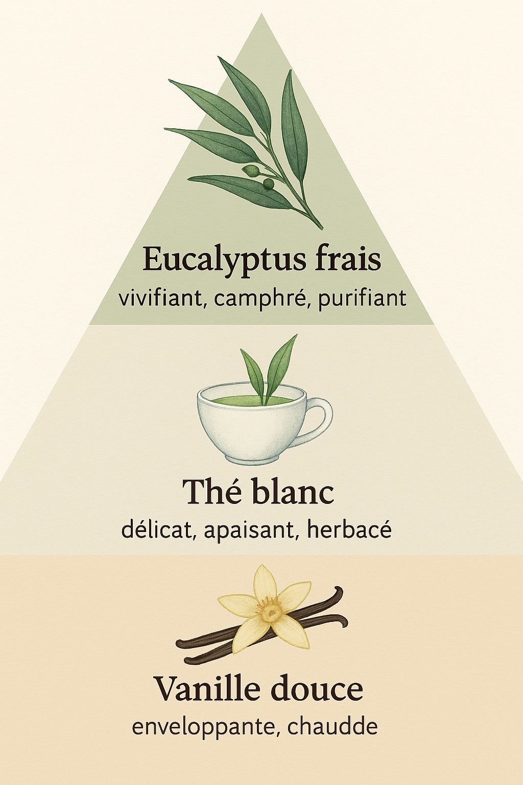 Brume d'eucalyptus et vanille
