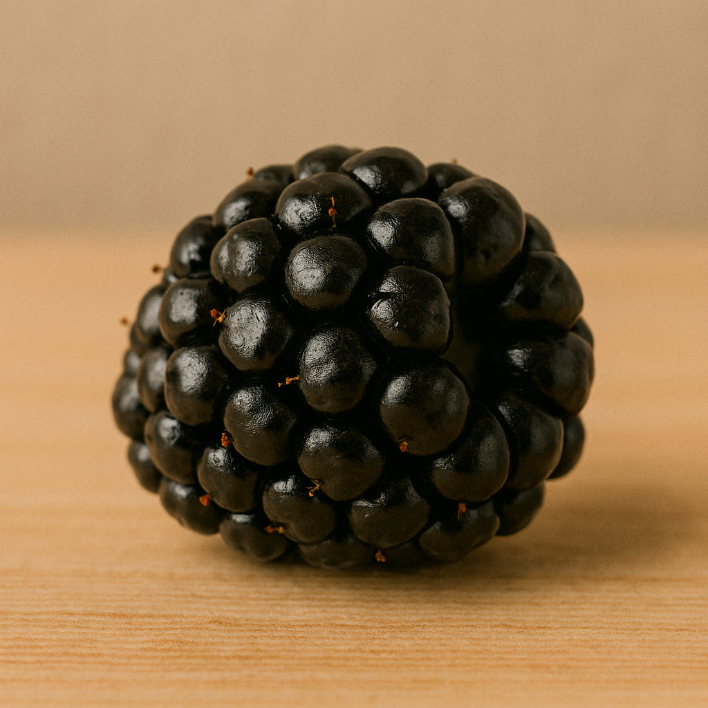 Mûre