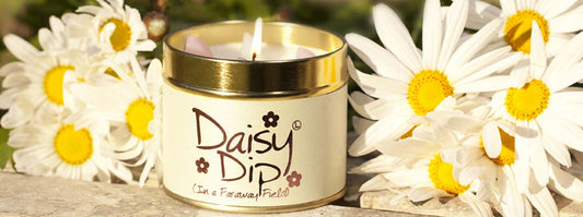 Flamme de lys - Daisy Dip