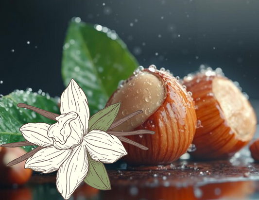 Noisette vanille
