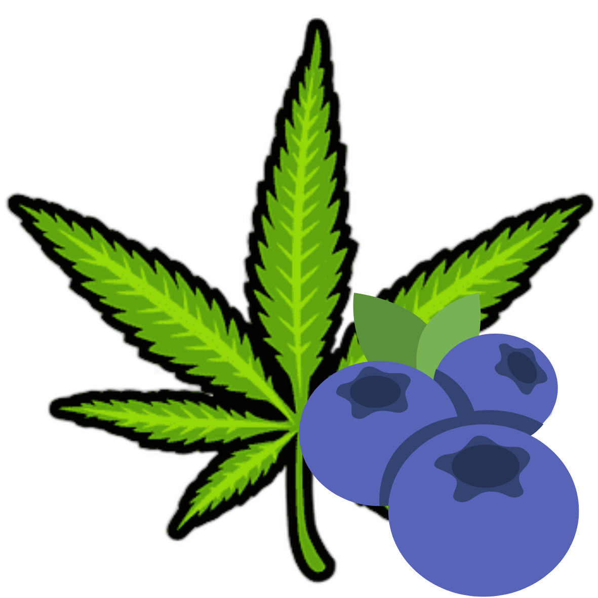 Cannabis blueberry