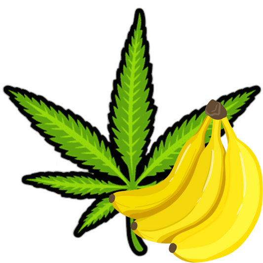 Cannabis banana