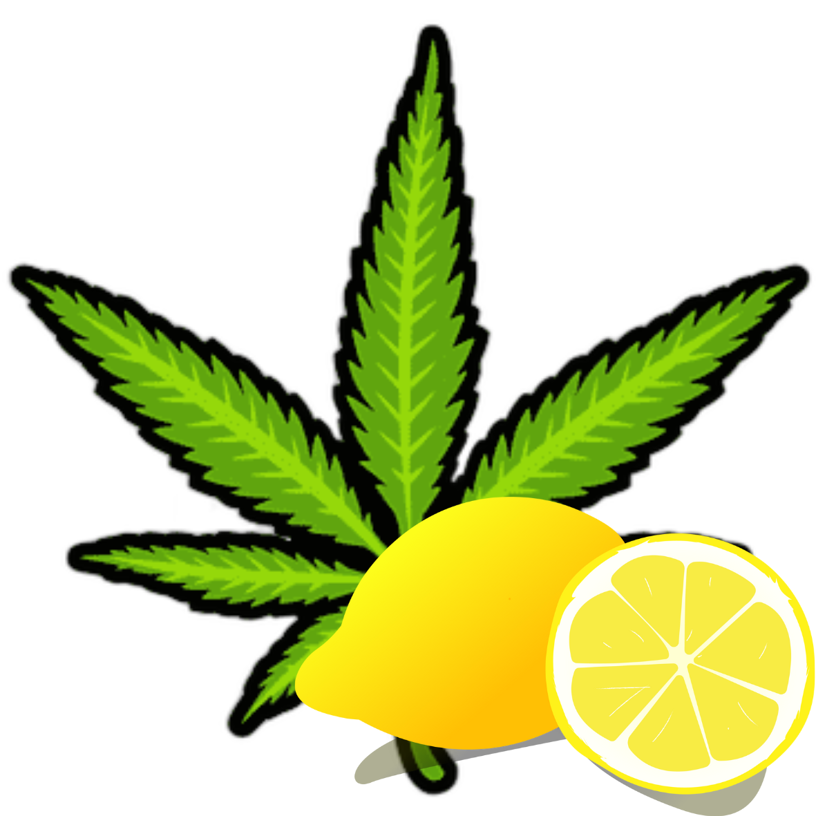 Cannabis lemon