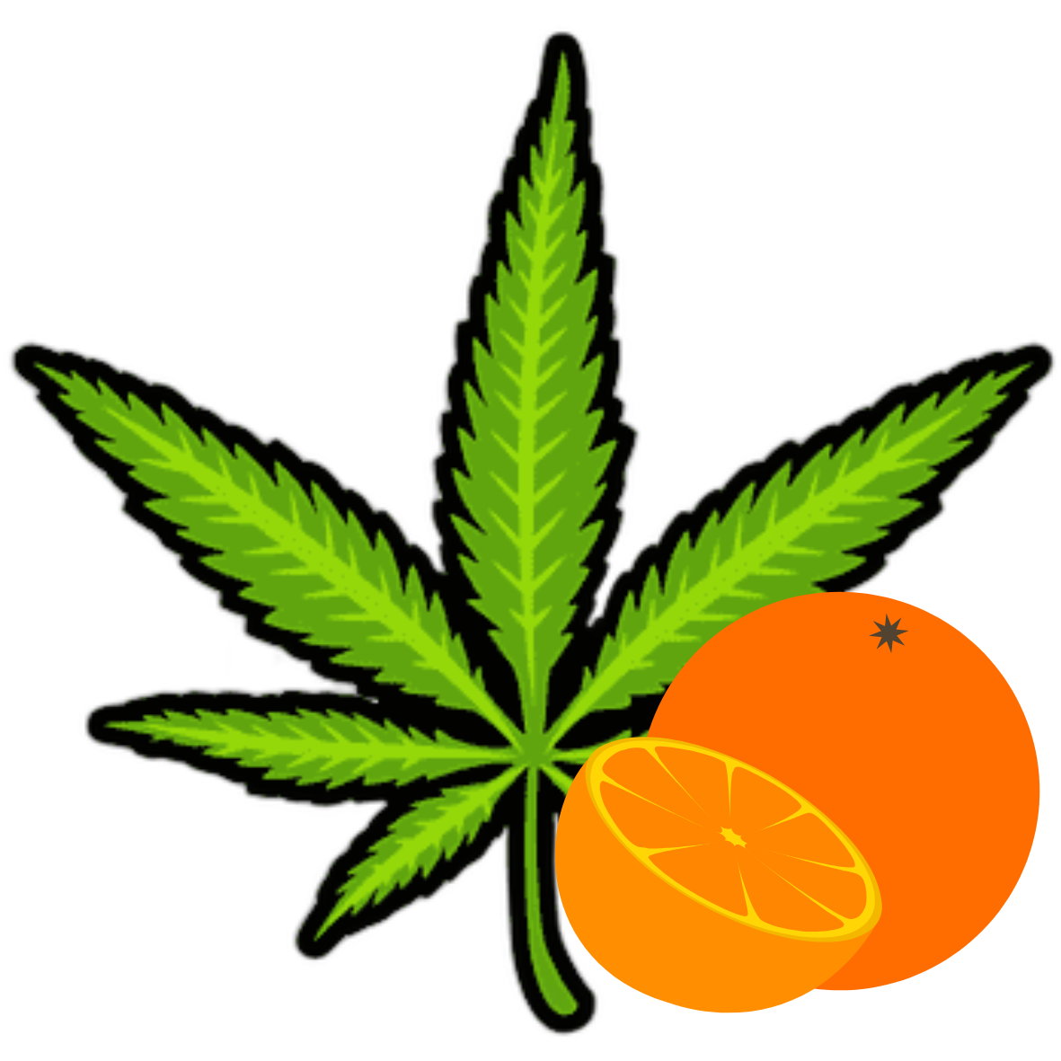 Cannabis orange