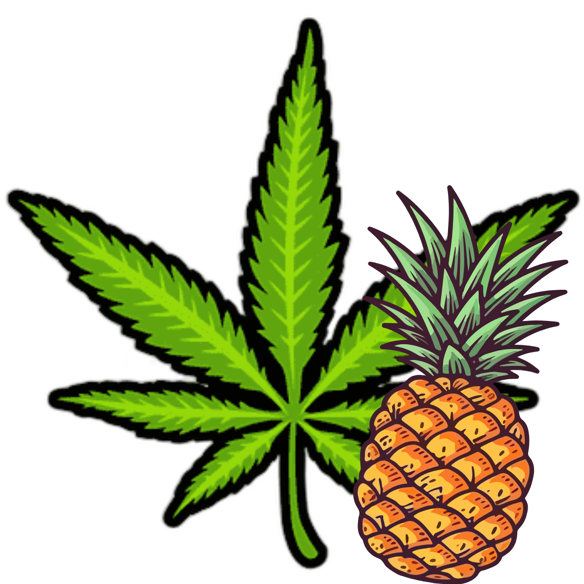 Cannabis pineapple