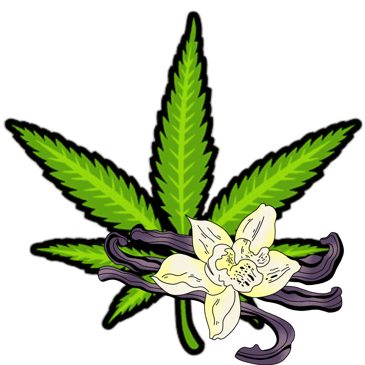 Cannabis vanille